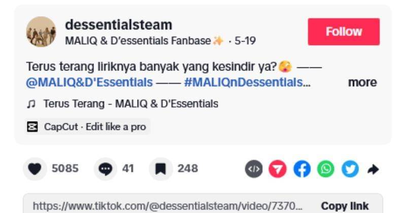 Tiktok.com/@dessentialsteam